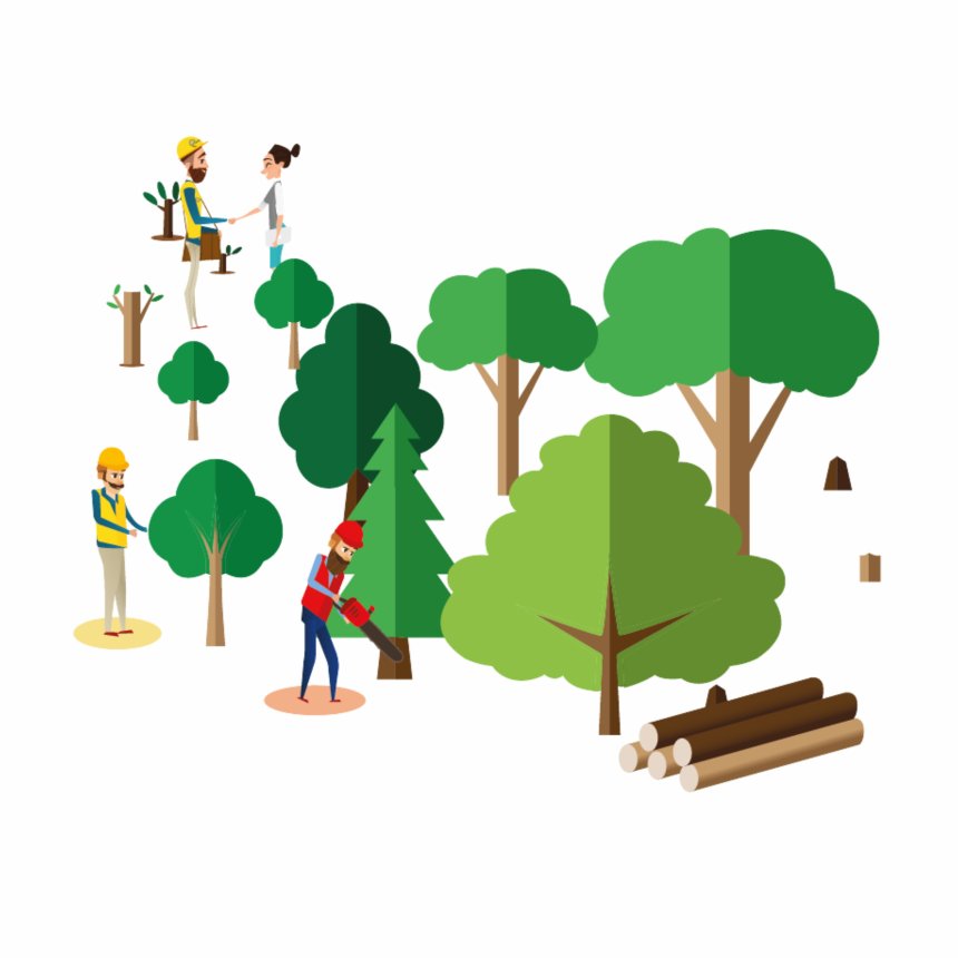 Entretien et renouvellement des forêts