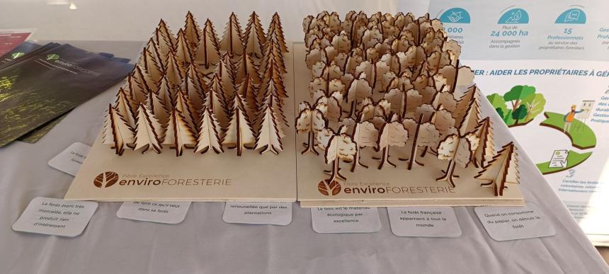 Photo Les Pyrénéennes 2024 6