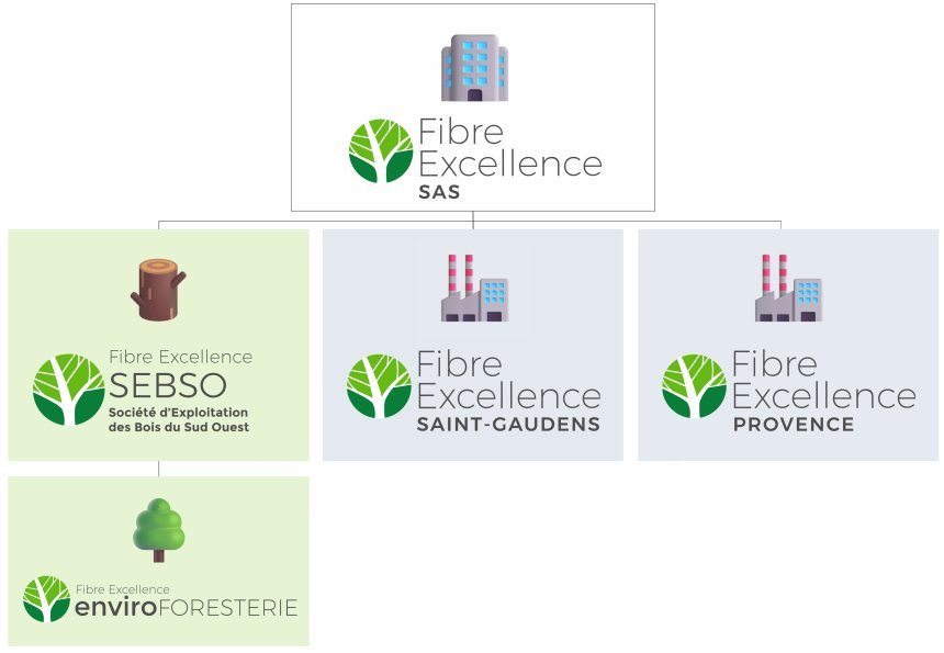 Infographie organigramme sites FE